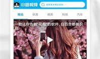 免费小视频在线观看,随时随地轻松观看