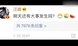 娱乐圈吃瓜帖子是什么,揭秘明星背后的故事